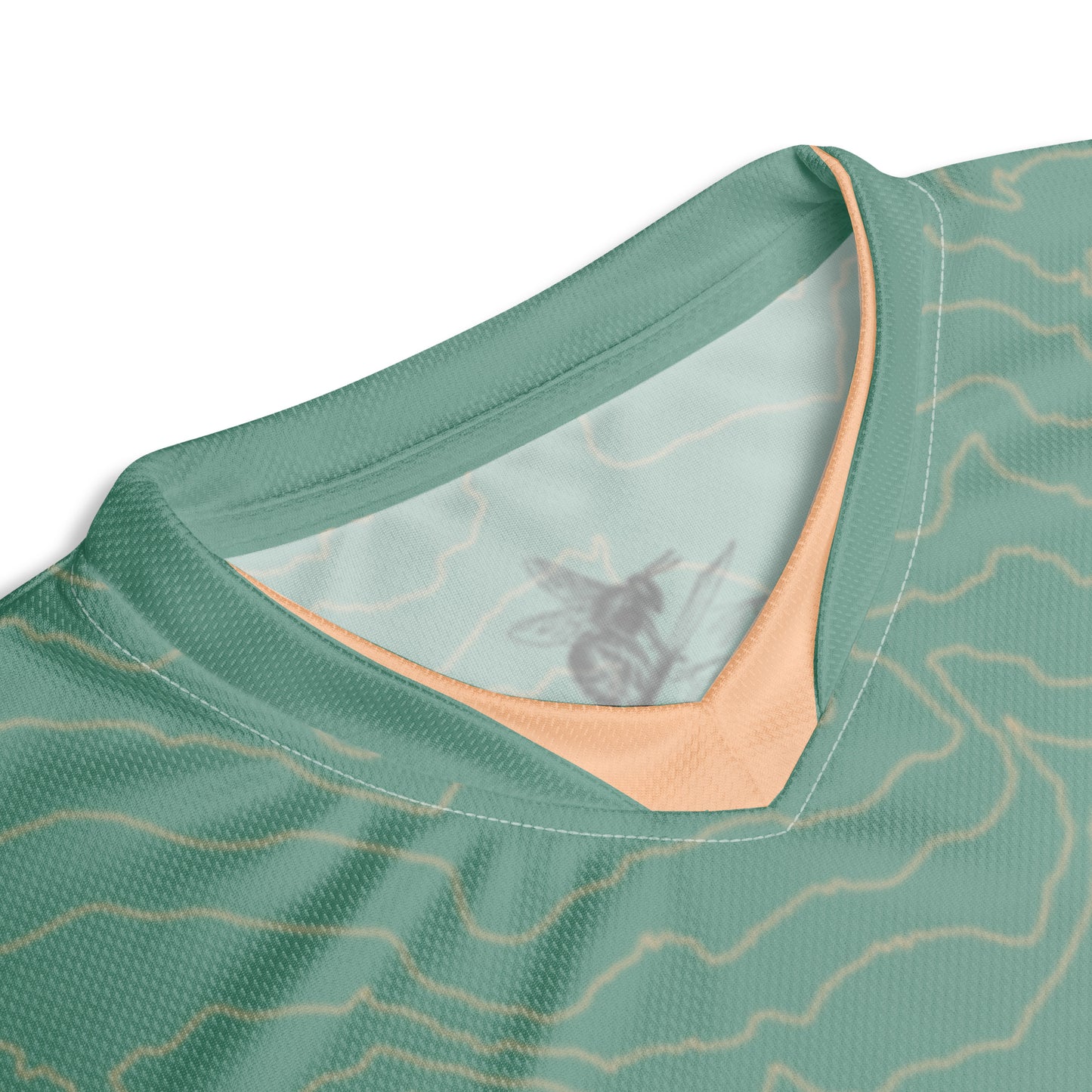 Mt Rainier Topographic Mountain Bike Jersey, Sage and Peach